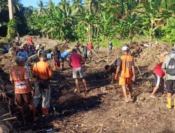 Satgas TMMD ke-126 Kodim 1505/Tidore Bersama Masyarakat Tanam Jagung di Lahan Ketahanan Pangan