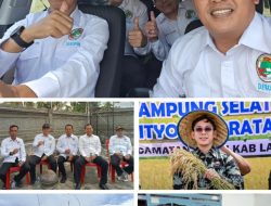 Bupati Lampung Selatan Panen Perdana Padi Biosalin, Wujudkan Ketahanan Pangan dan Kesejahteraan Petani