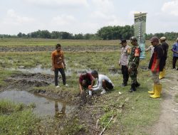 ATR/BPN Bojonegoro Gencarkan Gerakan Pasang Patok, Warga Diajak Hindari Sengketa Tanah