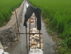 Proyek Saluran Irigasi Desa Pandanwangi Soko Diduga Tidak Sesuai Speikasi