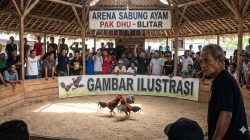 Publik Geram, Polresta Blitar Seolah Tutup Mata dan Lumpuh Hadapi Pak Dhu Bandar Judi Jatilenger.!