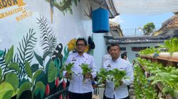 Pakcoy Menghijau, Harapan Bertumbuh-  Lapas Kalianda Panen Hasil Pembinaan