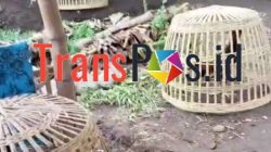 ‎Arena Perjudian di Tempeh Kian Merajalela, Polres Lumajang dan Polda Jatim Tak Berkutik