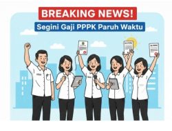 Breaking! Pemkab Lampung Selatan Klarifikasi Skema Gaji PPPK Paruh Waktu, Tekankan Kemampuan Keuangan Daerah Jadi Prioritas