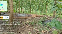 Limbah Diduga Masuk RPH Ngelo BKPH Sekaran, Perhutani Disorot – CDK Pastikan Turun Cek Lapangan