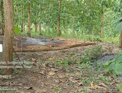 Limbah Diduga Masuk RPH Ngelo BKPH Sekaran, Perhutani Disorot – CDK Pastikan Turun Cek Lapangan