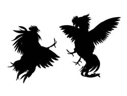 ‎Pasca di Grebek, Kini Praktik Judi Sabung Ayam di Sedati Sidoarjo Kembali Beraktivitas