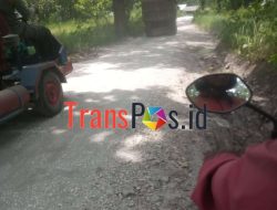 ‎Jalan Hutan di Desa Perangi Dijadikan Akses Tambang Diduga Ilegal IR dan BN, Perhutani Lepas Tangan