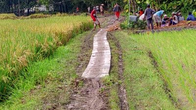 Akibat Jalan Menuju Makam Tak Kunjung Diperbaiki Warga Gamongan Swadaya Bangun Jalan Arah Makam 7