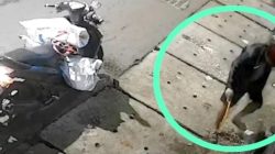 Pencuri Meteran di Jalan Kalianyar Surabaya Terekam CCTV, Diduga Memang Spesial Pencuri Meteran PDAM 2