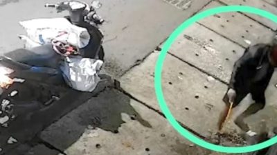 Pencuri Meteran di Jalan Kalianyar Surabaya Terekam CCTV, Diduga Memang Spesial Pencuri Meteran PDAM 6