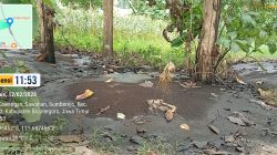 Hutan Jadi Tempat Sampah!! Limbah Diduga Dibuang Ilegal di BKPH Ngelo, Bau Menyengat - Aparat dan Penegakan Hukum Dipertanyakan 2