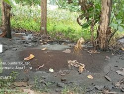 Hutan Jadi Tempat Sampah!! Limbah Diduga Dibuang Ilegal di BKPH Ngelo, Bau Menyengat – Aparat dan Penegakan Hukum Dipertanyakan