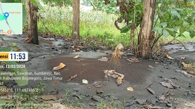 Hutan Jadi Tempat Sampah!! Limbah Diduga Dibuang Ilegal di BKPH Ngelo, Bau Menyengat - Aparat dan Penegakan Hukum Dipertanyakan 6