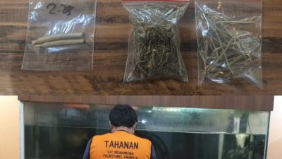 Pengedar Ganja Surabaya Diamankan, Satresnarkoba Polrestabes Surabaya Temukan Paket Siap Edar di Dua Lokasi 8