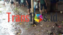 Kapolresta Banyuwangi Turut Bungkam, Masyarakat Desak Kapolda dan Panglima TNI Turun Tangan Berantas Sarang Judi PR di Pasembon