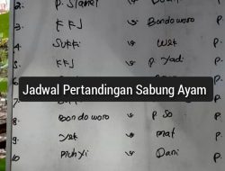Sabung Ayam Nur di Sumbersari Berpesta Pora, Polres Jember Seolah Tutup Mata