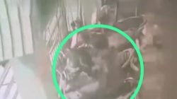 Honda Beat Milik Jamaah Musholla Namiroh Karangpilang, Raib Digondol Maling 2