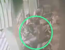 Honda Beat Milik Jamaah Musholla Namiroh Karangpilang, Raib Digondol Maling