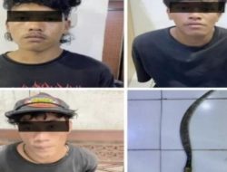 Polisi Tangkap Tiga Orang Pelaku Pembacokan di Dupak Surabaya, Lainnya DPO
