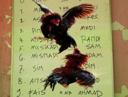 Bag Kebal Hukum, EK Bandar Judi di Mayangan Tantang Instruksi Presiden RI.!!!!