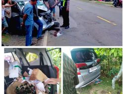 Tabrakan Adu Banteng di Jalinsum Kalianda-Bakauheni, Dua Minibus Ringsek: Dugaan Miras Ilegal Bertebaran di TKP