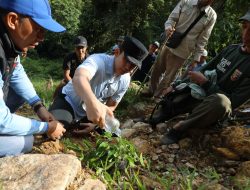 Pemkab Lampung Selatan dan KPH Way Pisang Kolaborasi Tanam Pohon di Lokasi Longsor Gunung Rajabasa