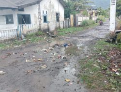 Jalan Desa Sukajaya Rusak 15.Tahun: Warga Desak Pemkab Lampung Selatan segera Bertindak