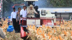 Presiden Prabowo Panen Raya Jagung di Tuban, Wujudkan Ketahanan Pangan 2