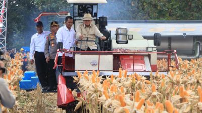 Presiden Prabowo Panen Raya Jagung di Tuban, Wujudkan Ketahanan Pangan 6