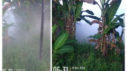‎Warga Selogabus Gempar, Pagi Hari di Suguhi Asap Berbau Gas Dari Gudang PT NESR