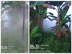 ‎Warga Selogabus Gempar, Pagi Hari di Suguhi Asap Berbau Gas Dari Gudang PT NESR