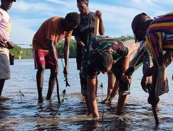 Bersatu Dengan Alam, Satgas TMMD Kodim 1710/Mimika Tanam Ribuan Bibit Mangrove