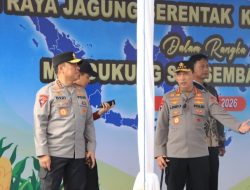 Polri Bersama Petani Jagung Tuban Bersiap Sambut Kehadiran Presiden RI pada Panen Raya