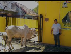 DPD Partai Golkar Lamsel Tebar Kebaikan DiHari Raya Idul Adha1447H untuk Laksanakan Penyembelihan Hewan Kurban 2