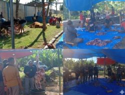 Perdana, KBSB Kalianda Gelar Qurban 1 Sapi 4 Kambing di Desa Kedaton, wujudkan kepedulian Salurkan Daging untuk Warga