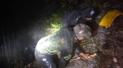 TNI Bergerak Cepat Lindungi Warga Pascaserangan Brutal OPM di Tembagapura
