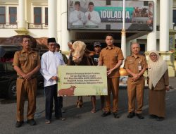‎Bupati Tuban Serahkan Sapi Kurban Bantuan Presiden RI untuk Warga Kenduruan