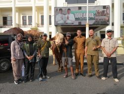 ‎DKP2P Tuban Terjunkan Petugas Kawal Penyaluran Hewan Kurban Presiden dan Pemkab