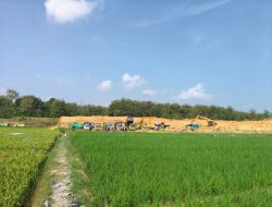 ‎Kerja Sama CV LISA dan Warga Sumberjo: Lahan Kering Berubah Jadi Produktif, Bukan Tambang