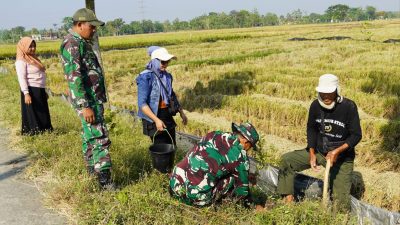 Pembinaan Lingkungan Hidup, Kodim Bojonegoro Tanam Ribuan Pohon Kayu Putih dan Balsa 6