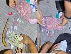 Polisi Gagalkan Penyelundupan Ribuan Pil Ekstasi dan Sabu di Tol Lampung Tengah, Satu Kurir Ditangkap