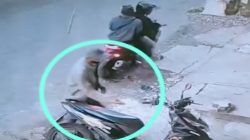 Viral di Medsos: Tiga Pelaku Beraksi, Nyolong Motor di Kawasan Raya Jagir Wonokromo Surabaya