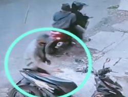 Viral di Medsos: Tiga Pelaku Beraksi, Nyolong Motor di Kawasan Raya Jagir Wonokromo Surabaya