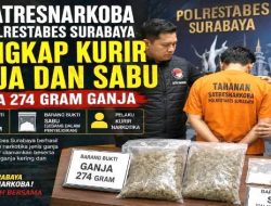 Polisi Temukan Sabu Serta Ganja Usai Mengeledah Rumah, Kurir Asal Banyu Urip Ditangkap Satresnarkoba Polrestabes Surabaya