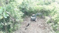 Program Unggulan TNI AD Berjalan, Satgas TMMD Ke-129 Buka Lahan Ketahanan Pangan di Kampung Sesor 3