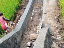 Rehabilitasi Jaringan Irigasi DI Dusun Mojo Sekarmojo Melesat: Progres Lewati Target, Kades Ingatkan Jangan Korbankan Mutu