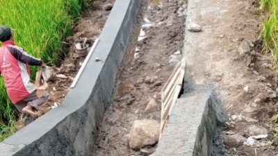 Rehabilitasi Jaringan Irigasi DI Dusun Mojo Sekarmojo Melesat: Progres Lewati Target, Kades Ingatkan Jangan Korbankan Mutu 6
