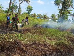 TNI Kerahkan 14.167 Personel Tangani Karhutla di Sejumlah Wilayah