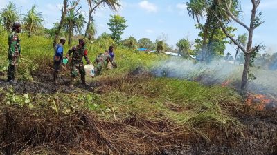 TNI Kerahkan 14.167 Personel Tangani Karhutla di Sejumlah Wilayah 6